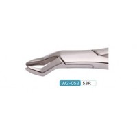 Woodpecker Extracting Forcep 53R